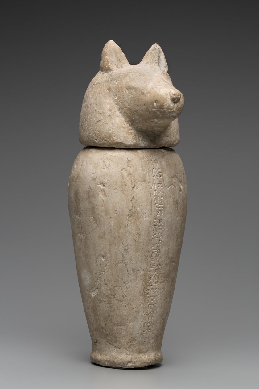 Canopic Jar Sakál fejével (mészkő) alkotó: Third Intermediate Period Egyptian