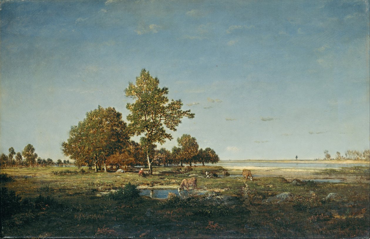 Táj egy facsoporttal alkotó: Pierre Etienne Theodore Rousseau