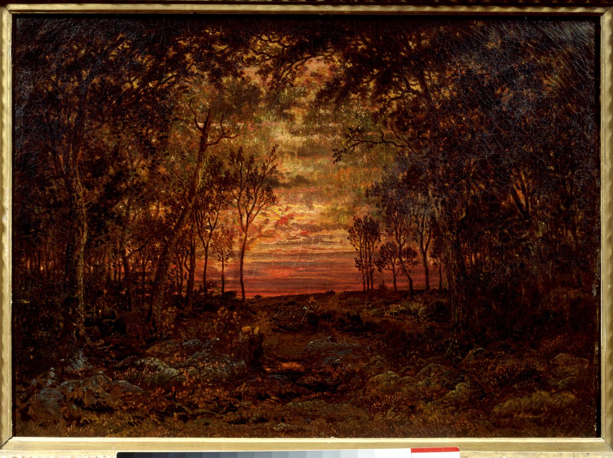 Naplemente az erdőben Theodore Rousseau festménye (1812-1867) 19. századi Barbizon iskola. Homályos. 0,46x0,62 m. Olajfestmény. . alkotó: Pierre Etienne Theodore Rousseau