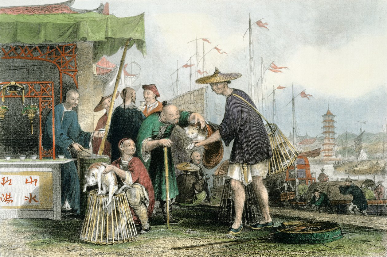 Kínai macskakereskedők, George Newenham Wright (1790-1877 körül) "Kína egy sorozatban" című művéből (1843). alkotó: Thomas Allom