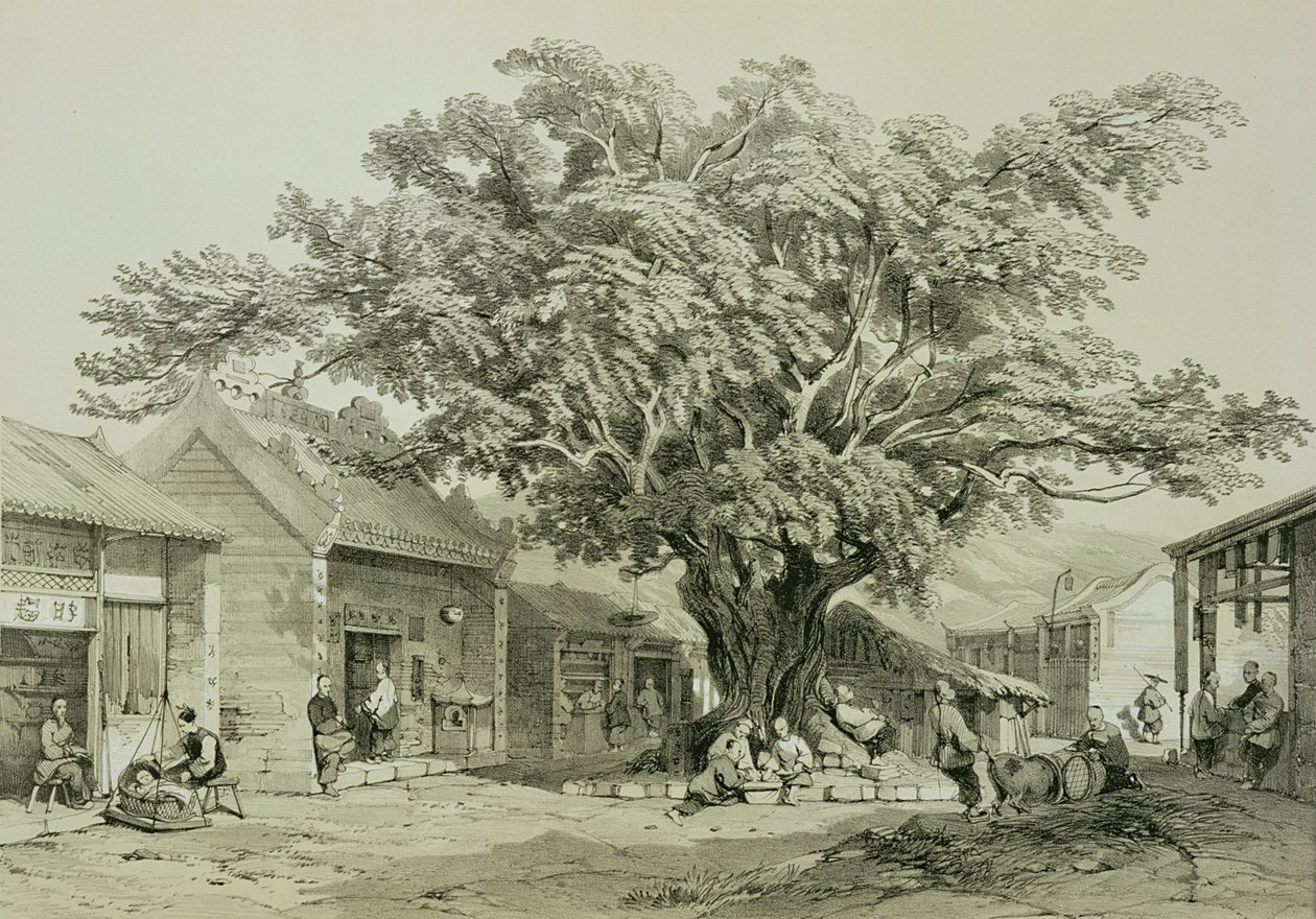 Temple, Makaó, 1850 körül (toll és tinta, ceruza, fehérrel kiemelve a papíron) alkotó: Thomas Allom