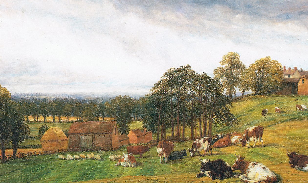 Szarvasmarha és juh az Old Park Farmban alkotó: Thomas Baker