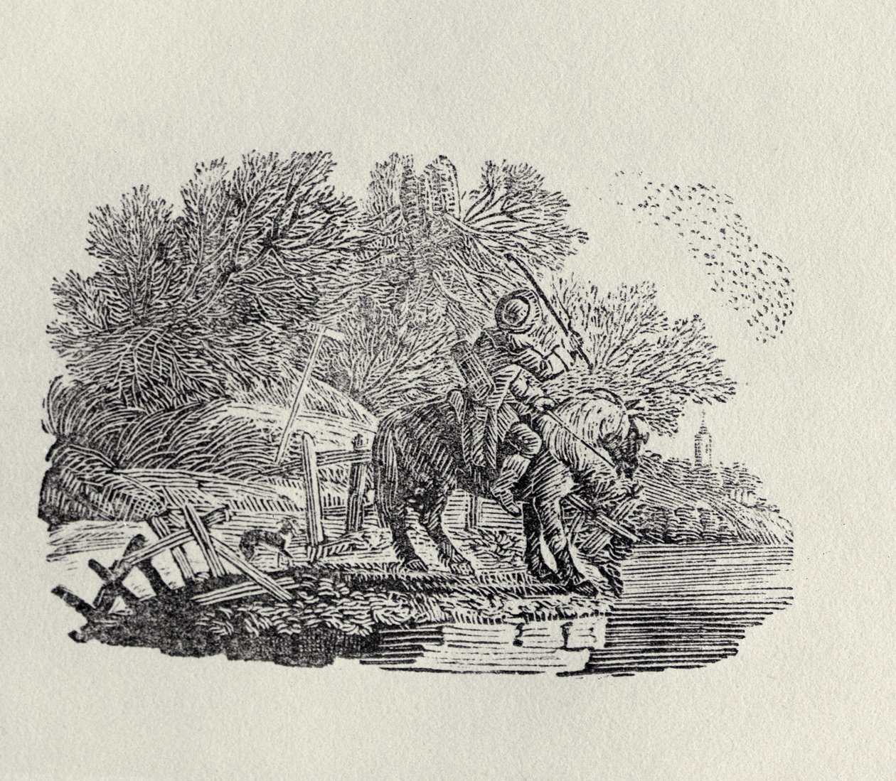 Egy lovas, akit megzavart egy madárraj (fametszet) alkotó: Thomas Bewick