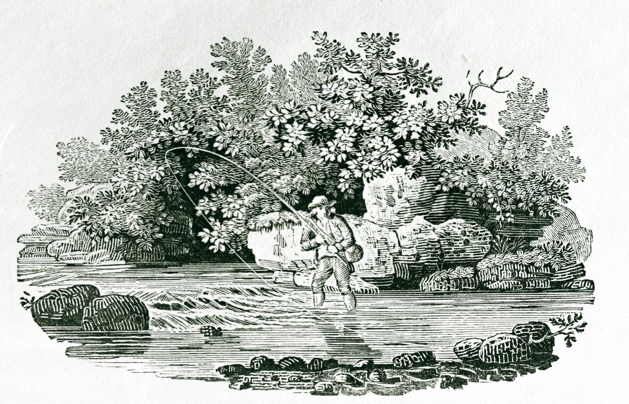 Horgász a folyómedencében, a „British Birds”-ből, 1804 (fametszet) alkotó: Thomas Bewick