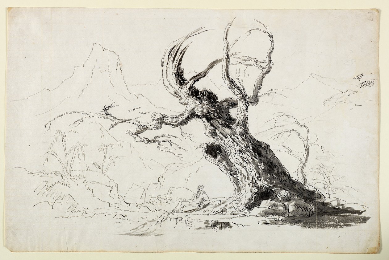 Nagy, göcsörtös fa, alatta szakállas férfi ül (toll és tinta ceruza fölött, papíron) alkotó: Thomas Cole