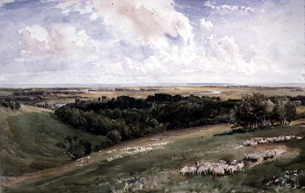 Arundel Park, Sussex alkotó: Thomas Collier