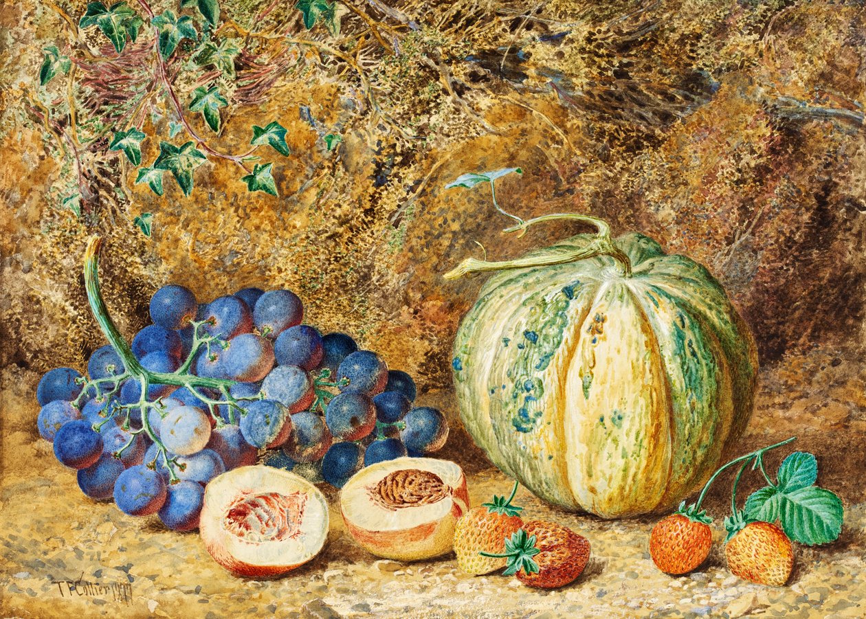 Szőlő és eper, 1877 alkotó: Thomas Collier