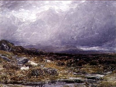 A Siabod Flats, Észak-Wales alkotó: Thomas Collier