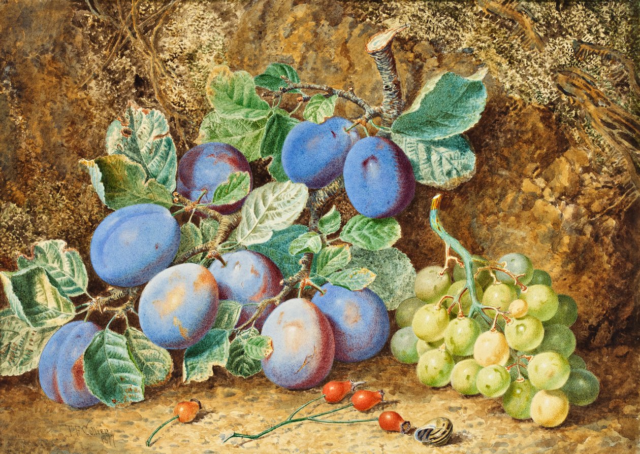 Szilva és szőlő, 1877 alkotó: Thomas Collier