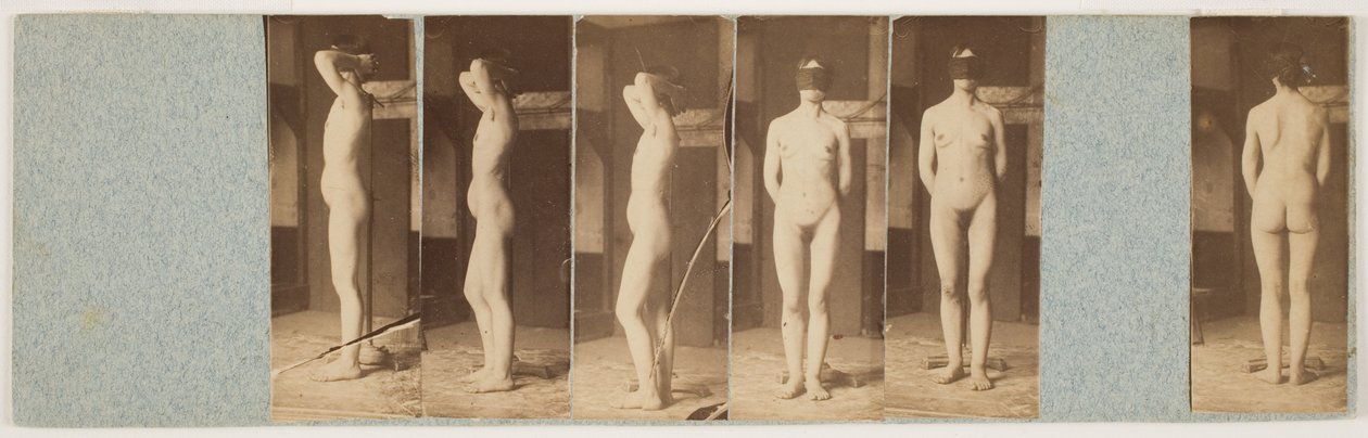 Lillie (albumennyomatok szárazlemezes kollódiumnegatívokról) alkotó: Thomas Eakins
