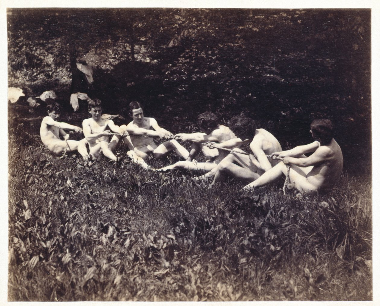 Férfi aktok ülő kötélhúzóban, 1883 körül (albumnyomat) alkotó: Thomas Eakins