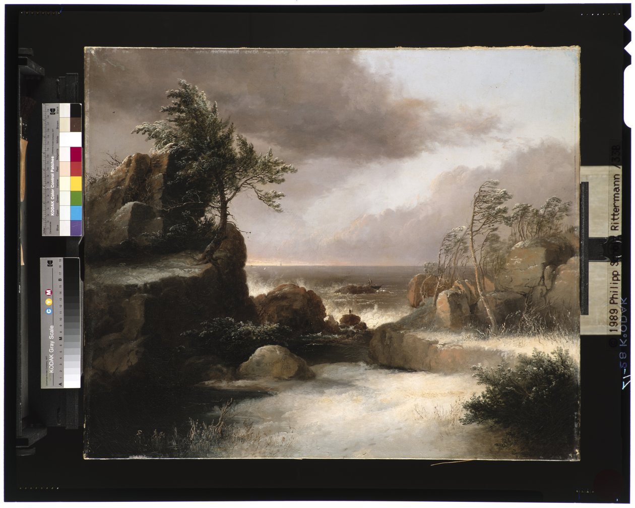 Hajótörés, 1834 alkotó: Thomas Doughty