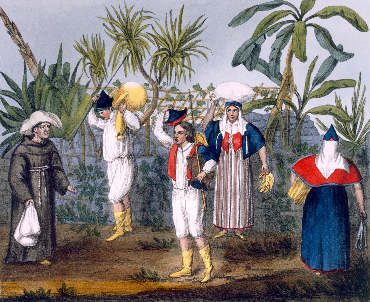 Gambia jelmeze, 9-es tábla a „Madeirai és Porto Santói Kirándulások…” című kiadványból, pub. George B. Whittaker, London, 1825 alkotó: Thomas Edward Bowditch