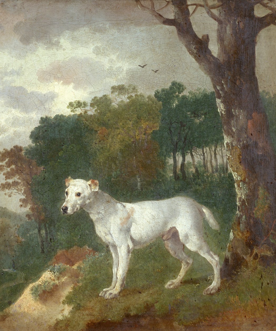 Bumper, bullterrier, 1745 alkotó: Thomas Gainsborough