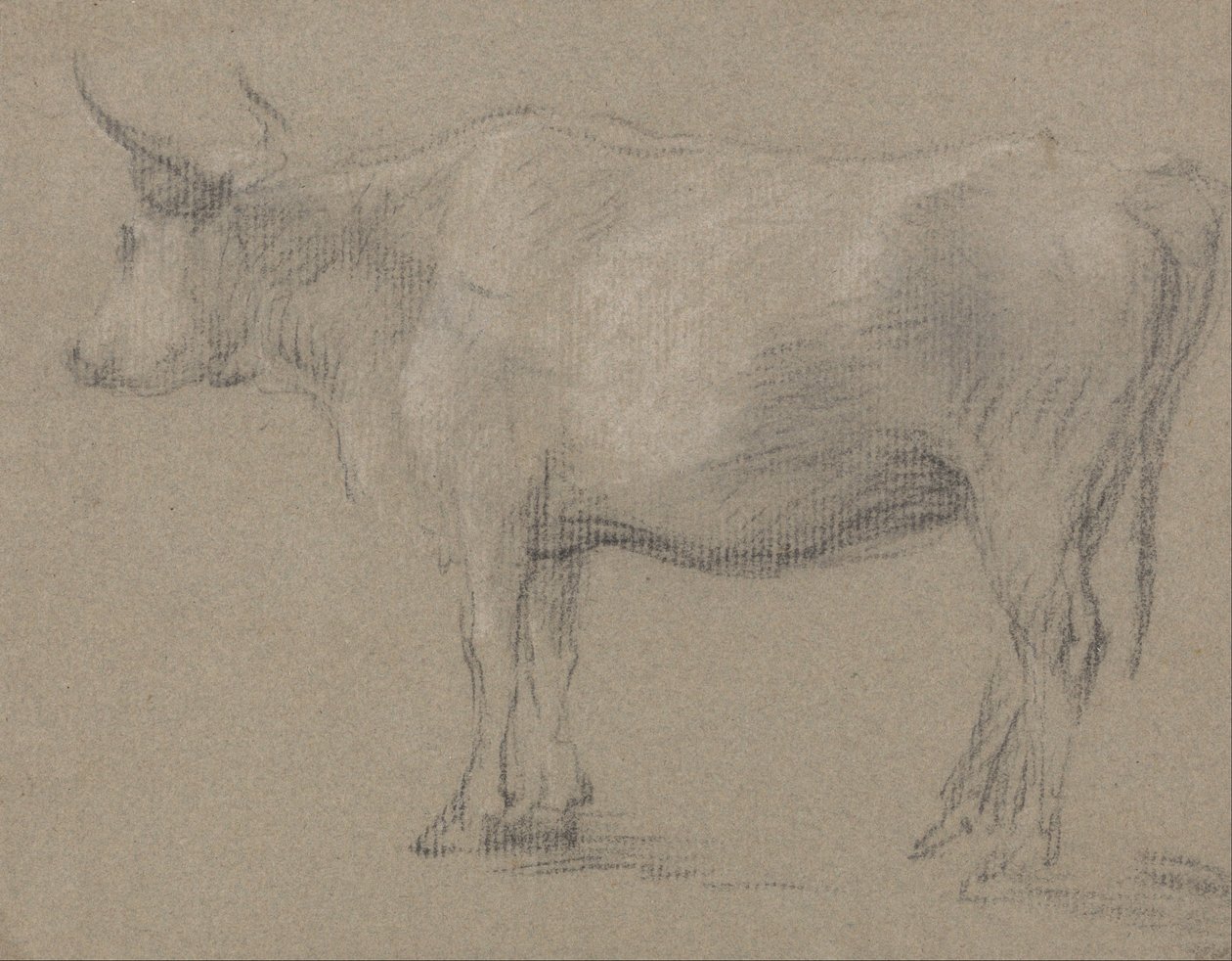 Tanulmány egy tehénről alkotó: Thomas Gainsborough