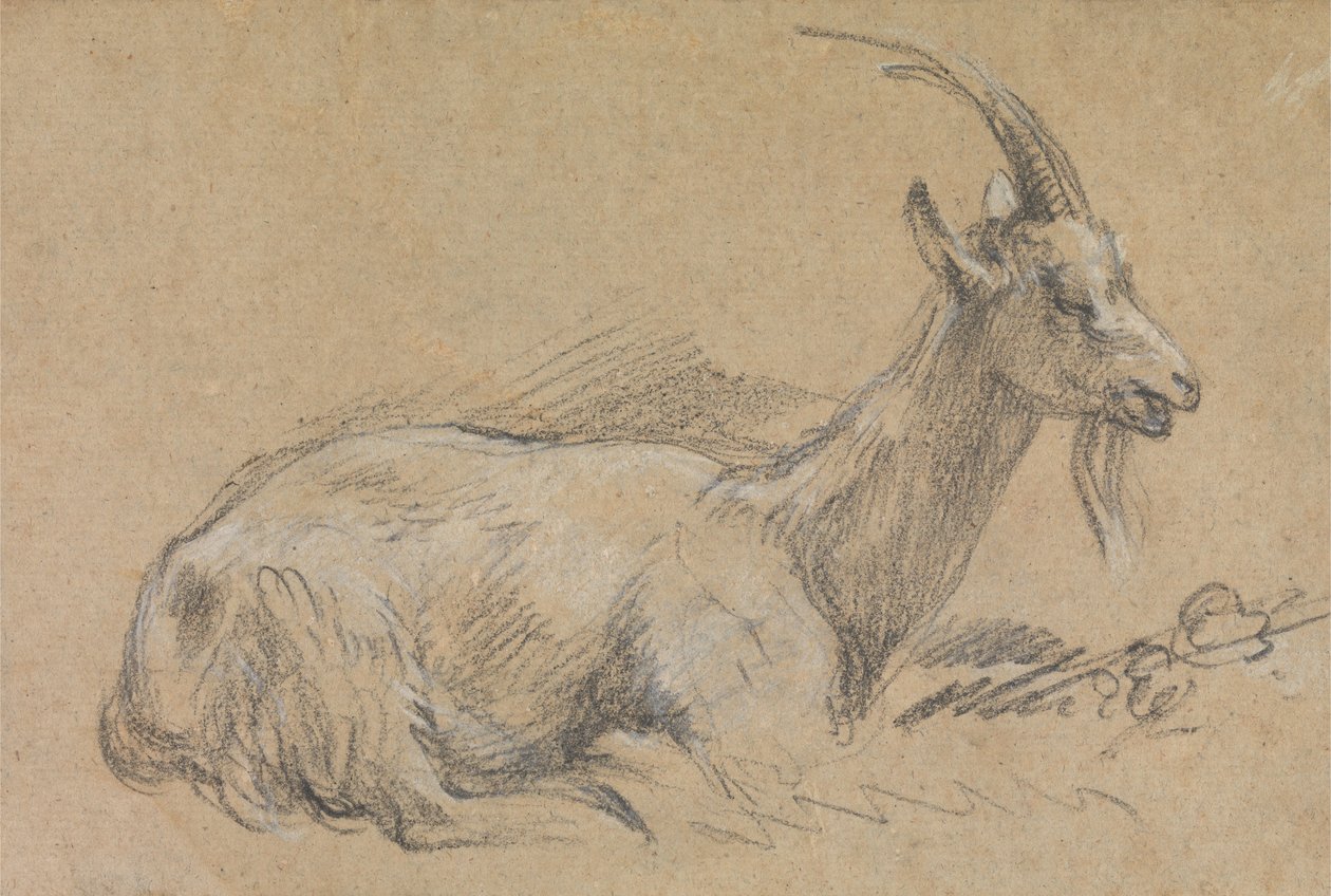 Egy kecske tanulmánya alkotó: Thomas Gainsborough