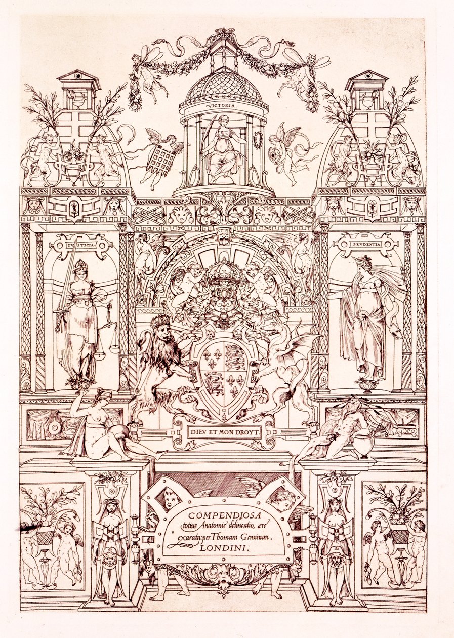 Az anatómiai kompendium előlapja, 1545 alkotó: Thomas Geminus