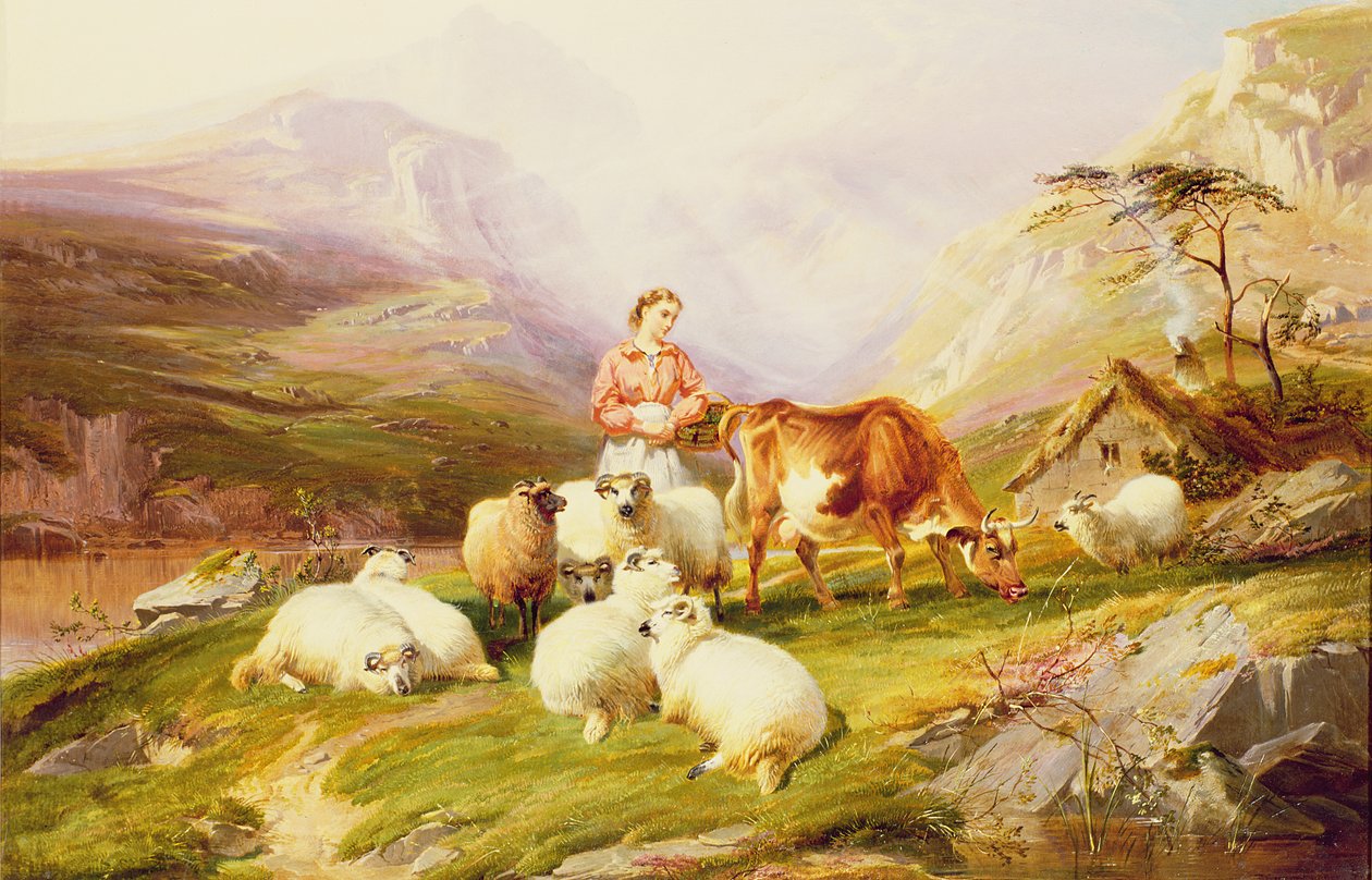Tehén és juh a hegyi legelőn alkotó: Thomas George Cooper