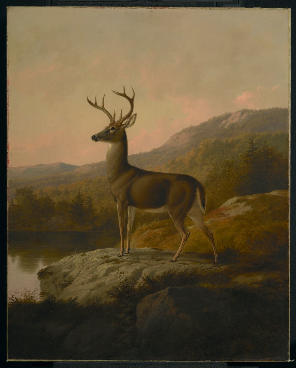Szarvas, 1855 alkotó: Thomas Hewes Hinckley