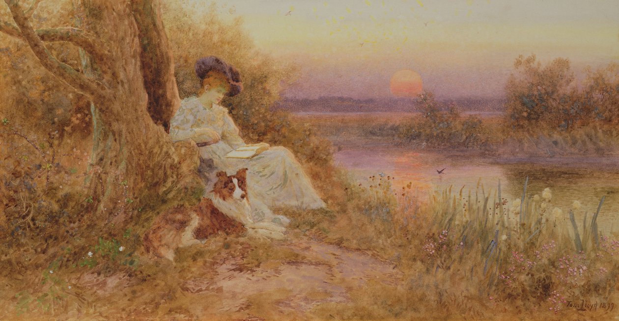 Könyv a naplementében alkotó: Thomas James Lloyd