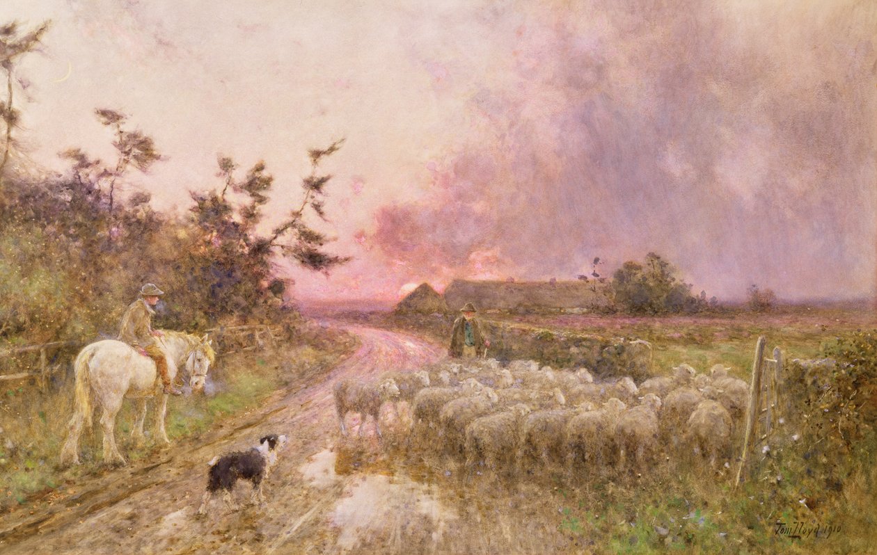 A nap végén, 1910 alkotó: Thomas James Lloyd