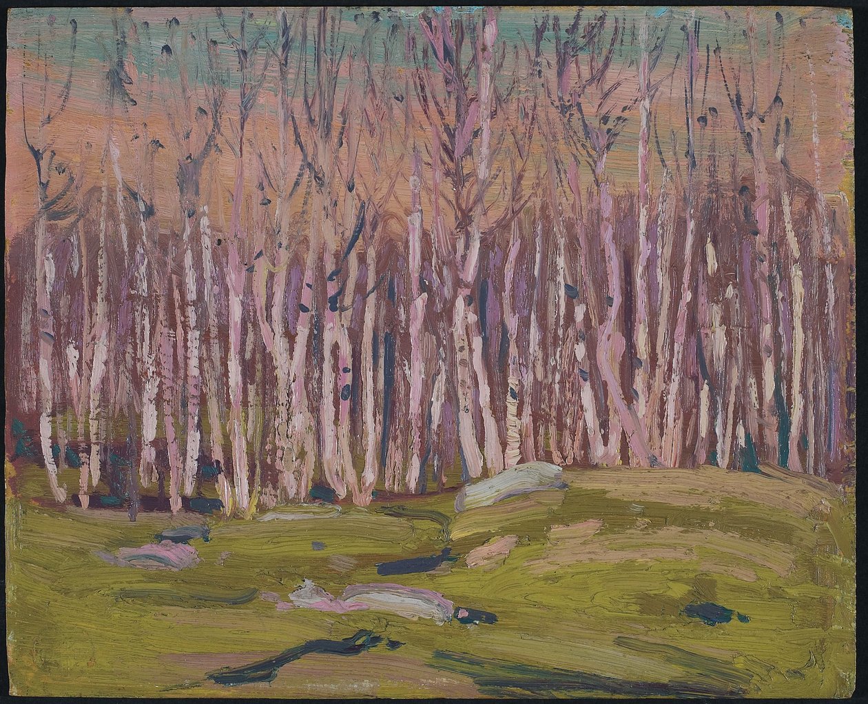 Ezüst nyírfa, 1915 körül (olaj, falemez) alkotó: Tom Thomson