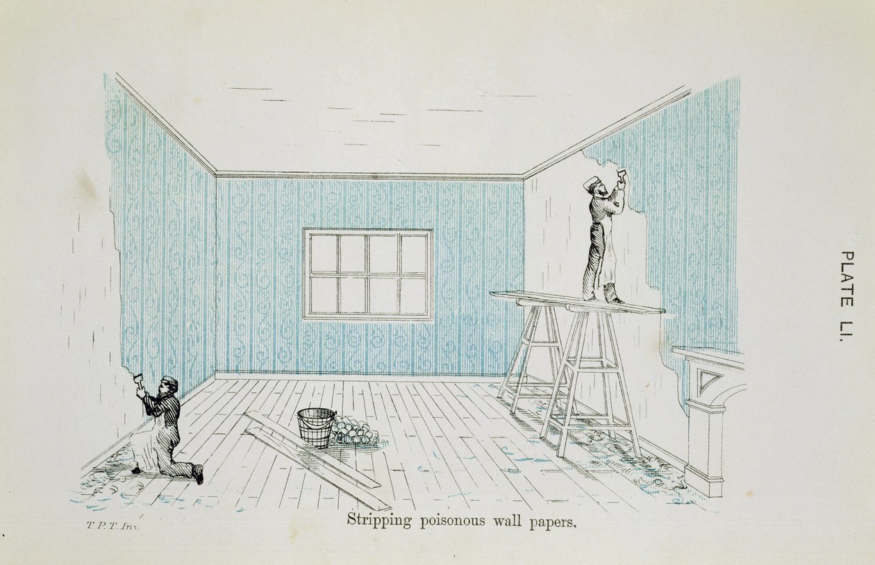 Mérgező tapéták eltávolítása, illusztráció az Egészségre leselkedő veszélyekből: A Pictorial Guide to Domestic Sanitary Effects, megjelent 1897-ben. alkotó: Thomas Pridgin Teale