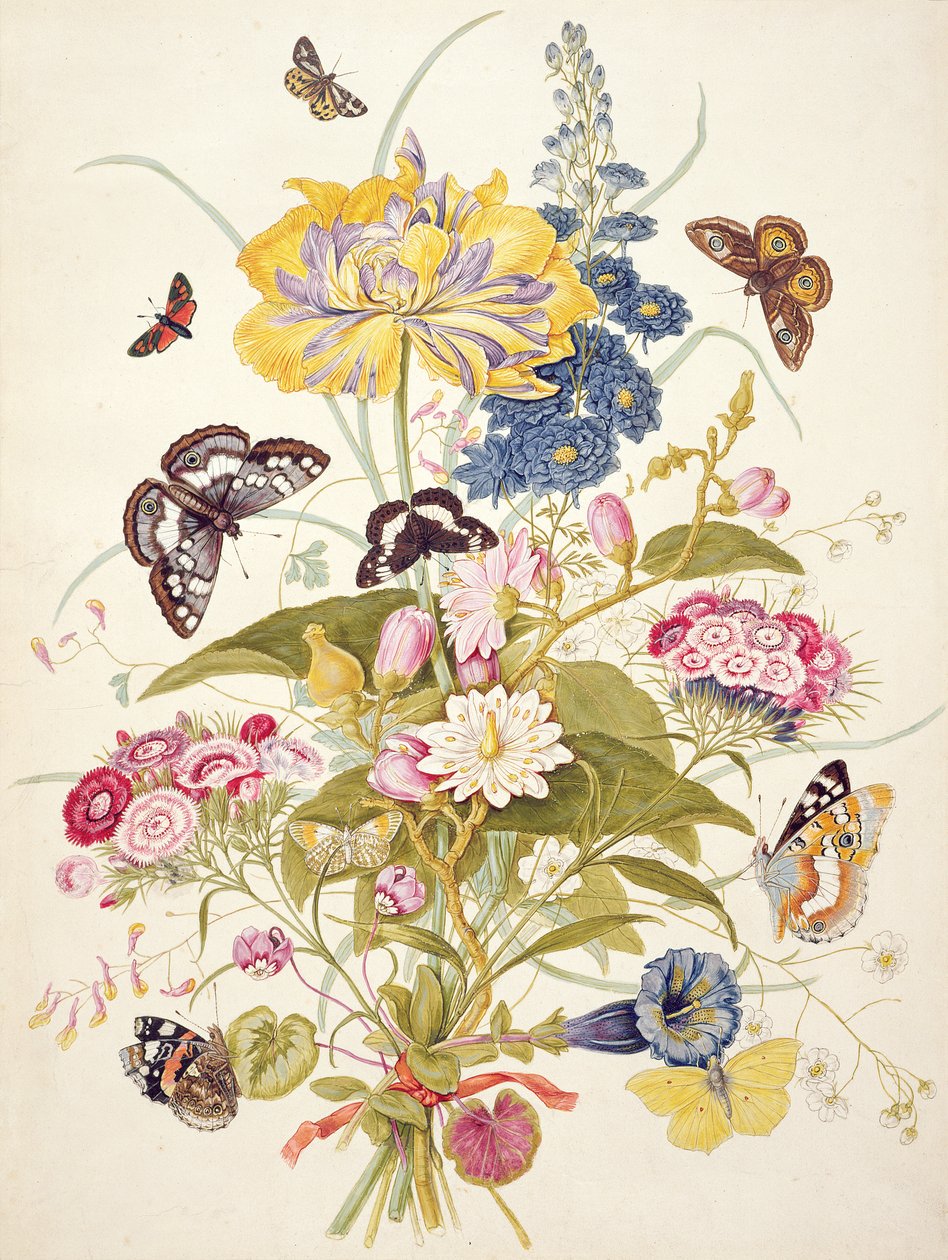 PD.912-1973 Virágcsendélet, köztük papagáj tulipán, pacsirta, édes Vilmos, encián és ciklámen, 1769 alkotó: Thomas Robins