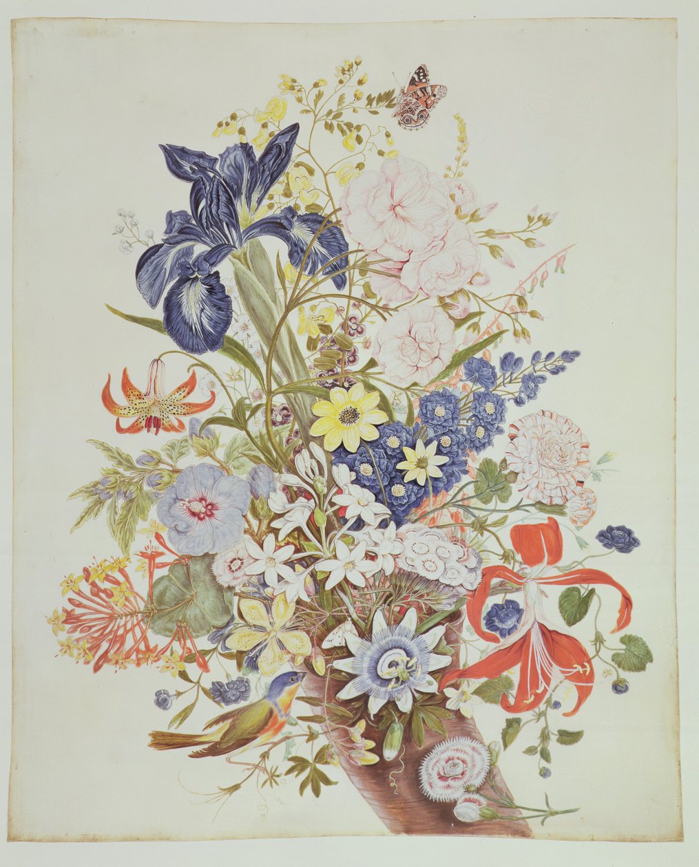 PD.915-1973 Vegyes virágok bőségszaruban, 1768 körül (wc és gouache pergamen) alkotó: Thomas Robins