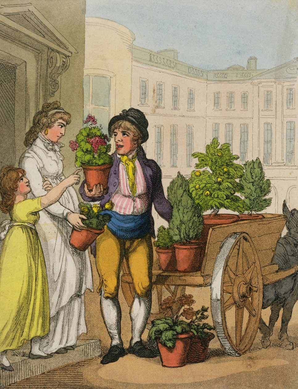 Cries of London: The Garden Pot Seller, 1799 (színes akvatinta) alkotó: Thomas Rowlandson