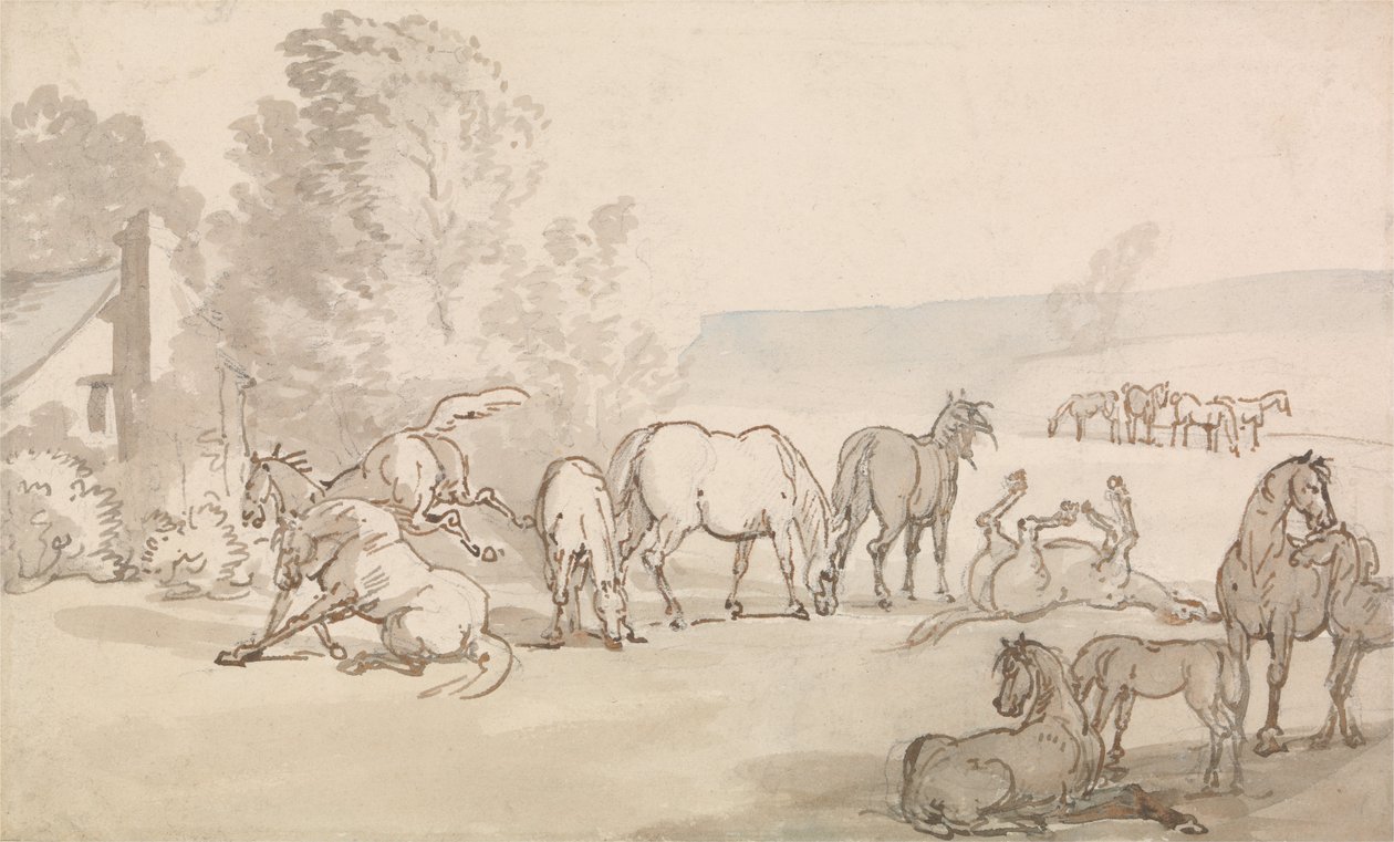 Kancák és csikók egy mezőn alkotó: Thomas Rowlandson
