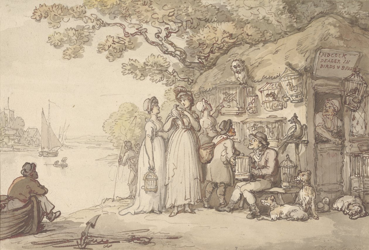 Pidcock, a madarak és állatok kereskedője (toll, tinta és WC papíron) alkotó: Thomas Rowlandson