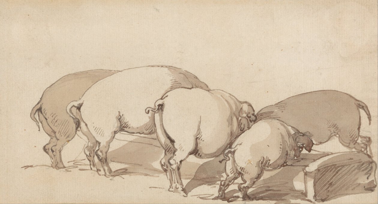 Sertés egy ároknál alkotó: Thomas Rowlandson