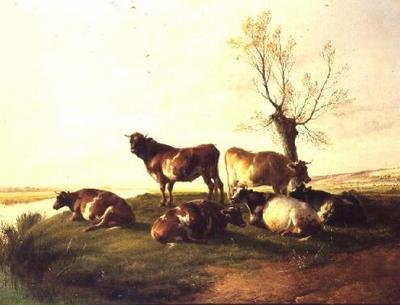 Canterbury Meadows alkotó: Thomas Sidney Cooper