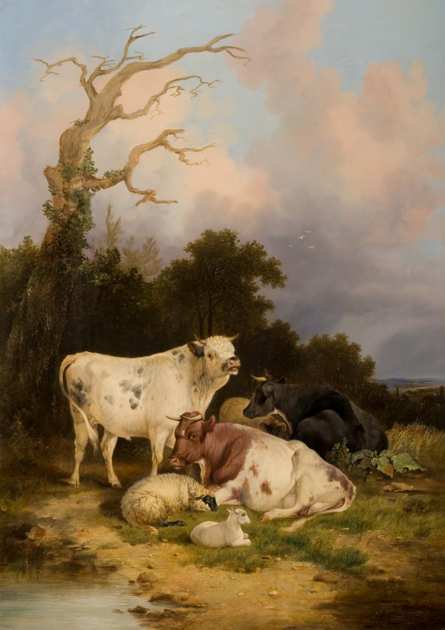 Szarvasmarha és juh alkotó: Thomas Sidney Cooper
