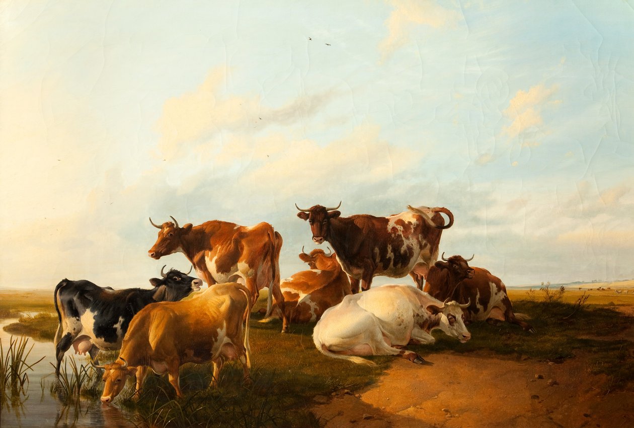 Este a réteken, 1871 alkotó: Thomas Sidney Cooper