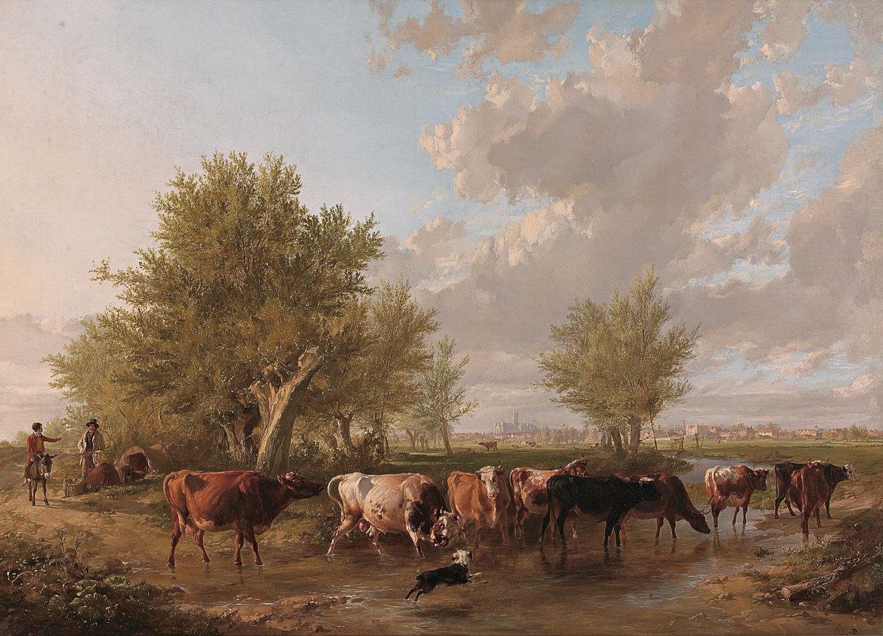 Patak megfogalmazása, Canterbury külvárosai alkotó: Thomas Sidney Cooper
