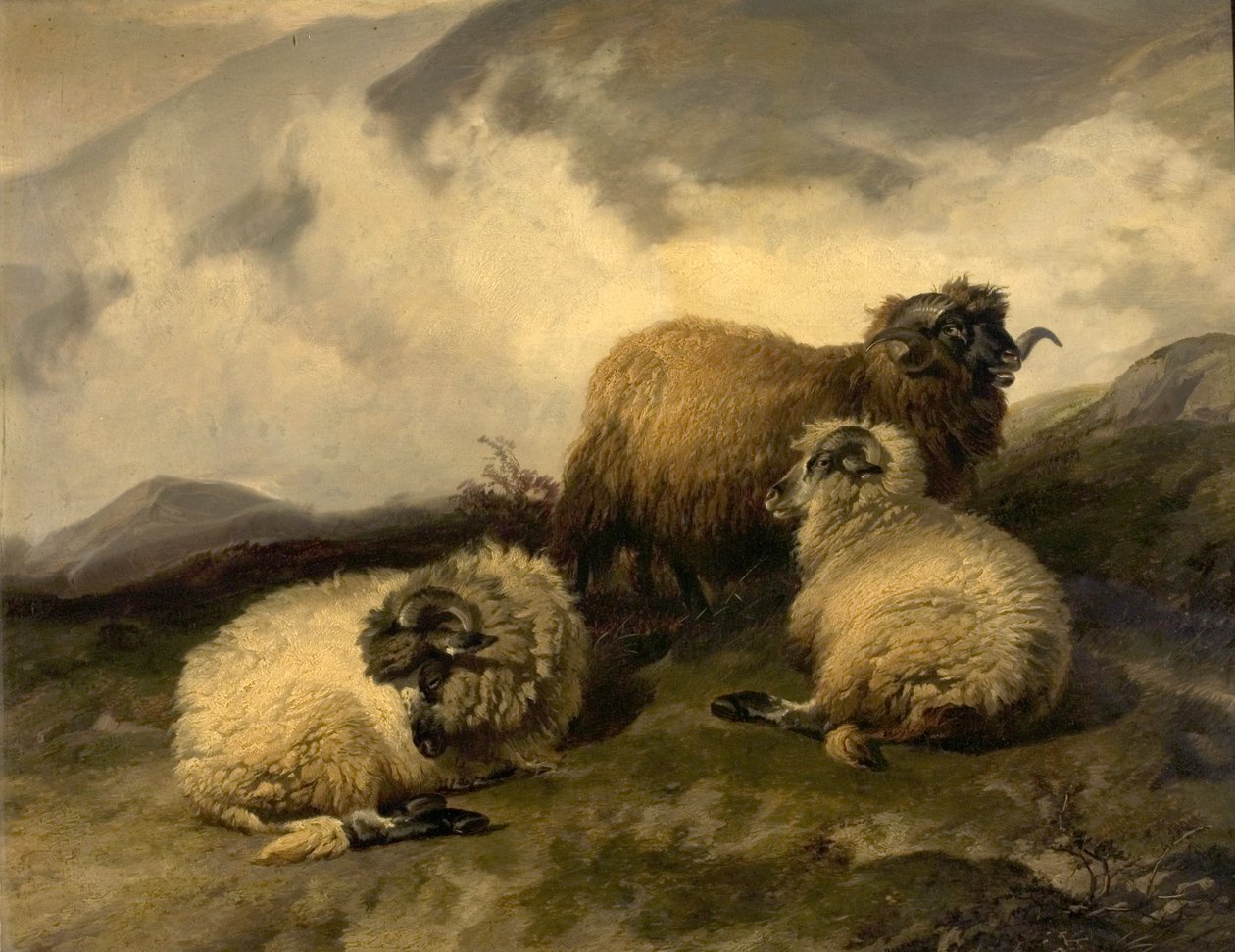 Hegyi juhok (A reggeli köd eloszlik) 1846 alkotó: Thomas Sidney Cooper