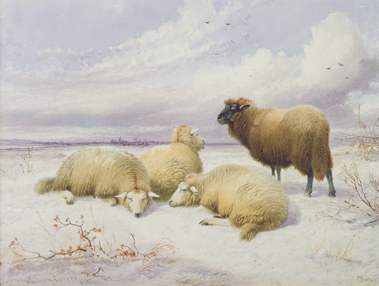 Birkák a hóban alkotó: Thomas Sidney Cooper