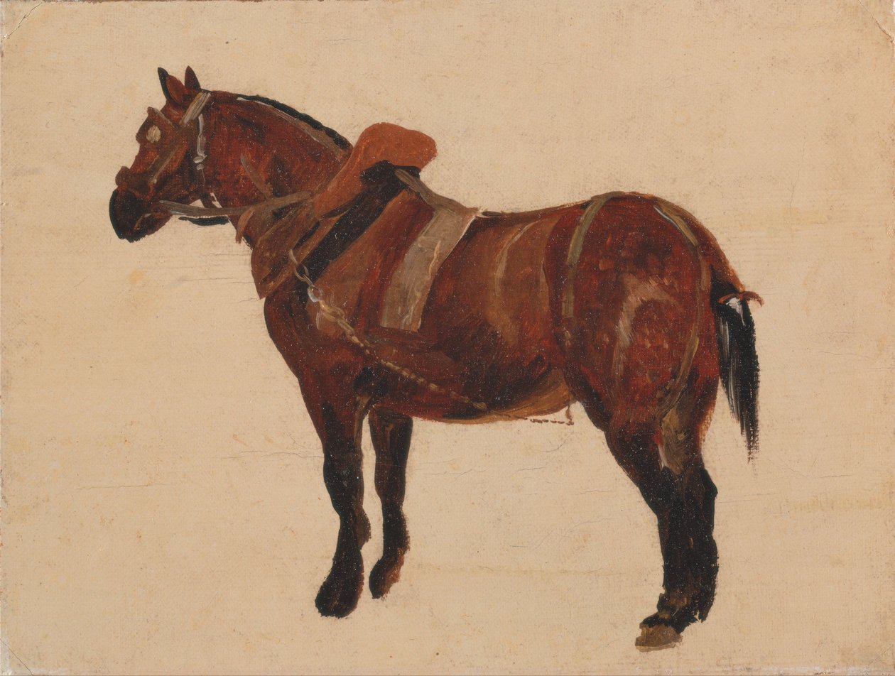 Tanulmány egy dolgozó lóról alkotó: Thomas Sidney Cooper