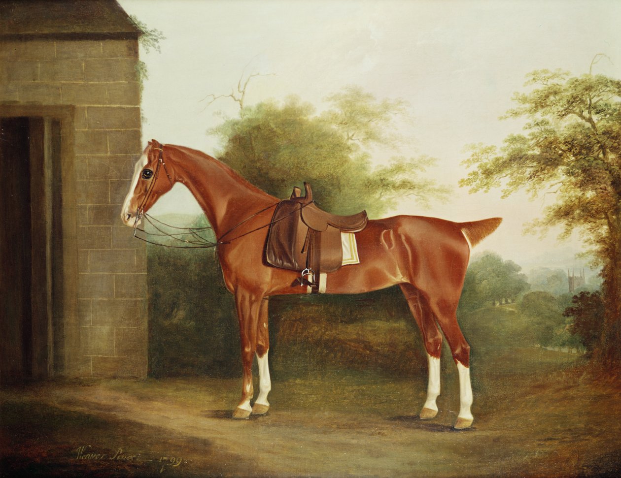 Ló oldalsó nyereggel alkotó: Thomas Weaver