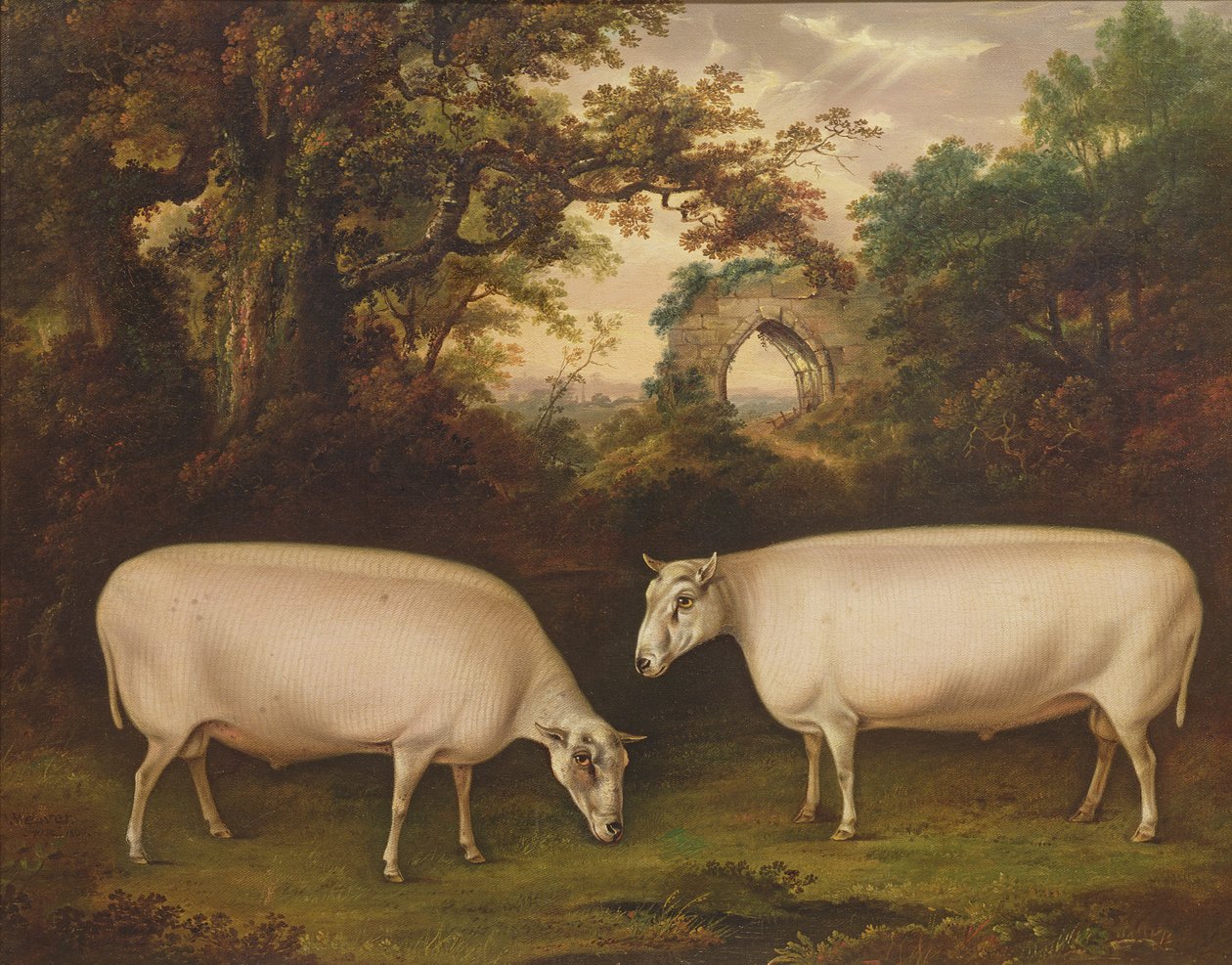 Két díjnyertes Leicester kos egy tájban, 1800 alkotó: Thomas Weaver