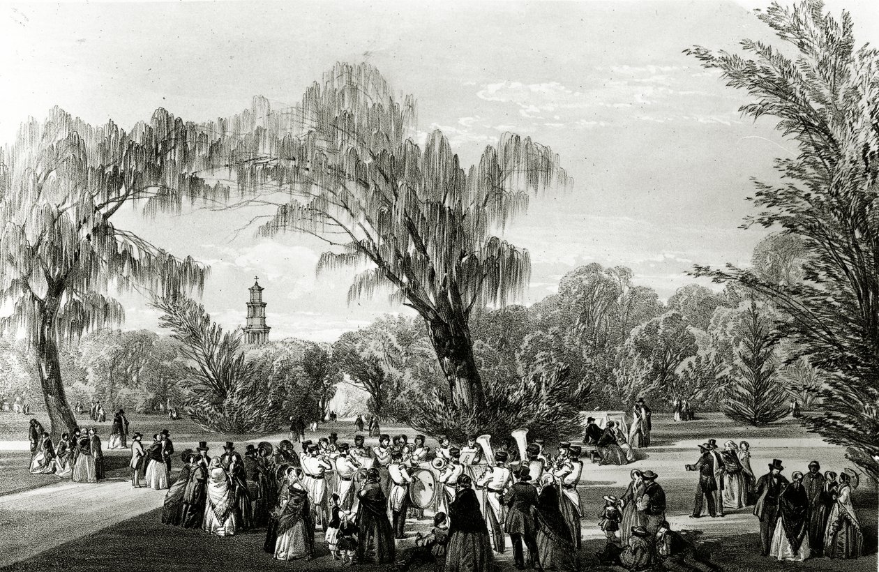 Botanical Gardens, Cape Town, W. Simpson által készített nyomat, 1850 körül alkotó: Thomas William Bowler