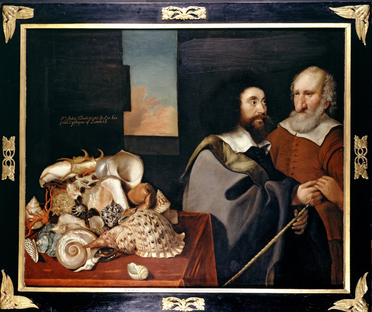 John Tradescant, az ifjabb Roger Friend és egy egzotikus kagylógyűjtemény, 1645 alkotó: Thomas de Critz