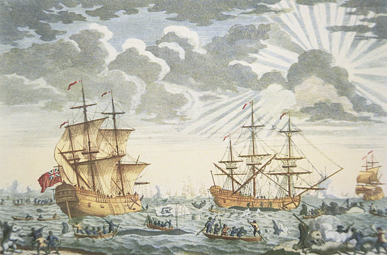 Grönland vagy bálnahalászat, vésette E. Kirkall, 1720 körül (színes litho) alkotó: Thomas (after) Baston