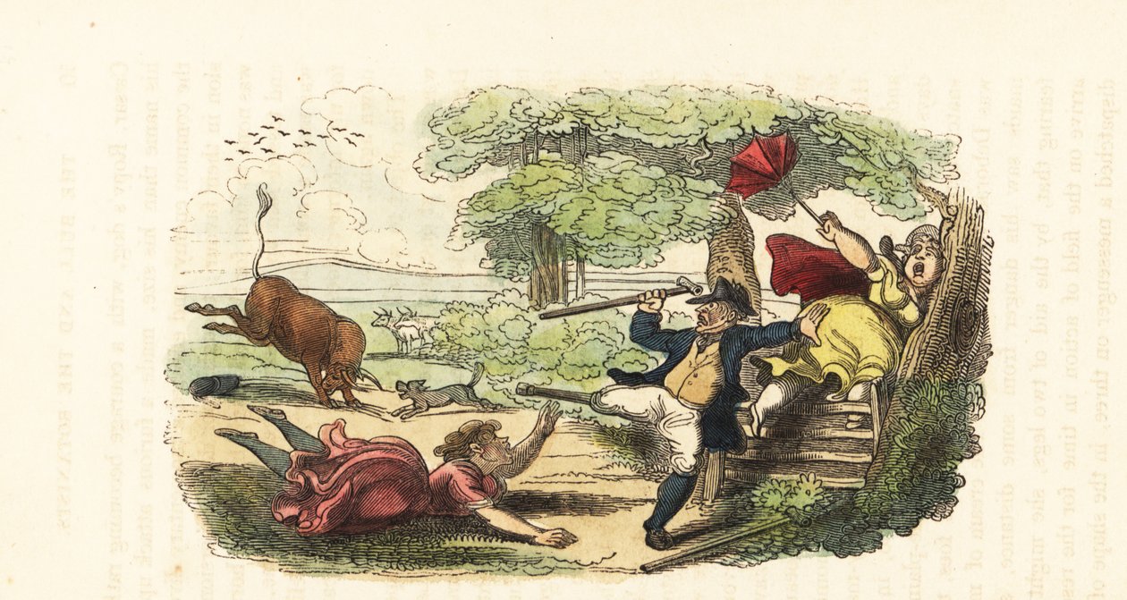 Egy botanikus családot megtámadt egy rohamozó bika a mezőn. ,1831 (metszet) alkotó: Thomas (after) Rowlandson