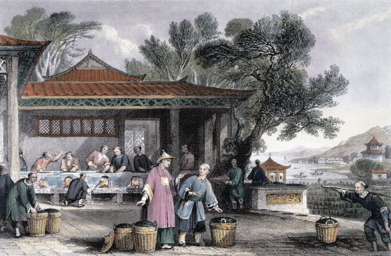"A tea kultúrája és elkészítése", Kína, 1843 alkotó: Thomas Allom