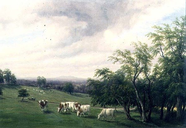 Szarvasmarhák legeltetése a parkban alkotó: Thomas Baker
