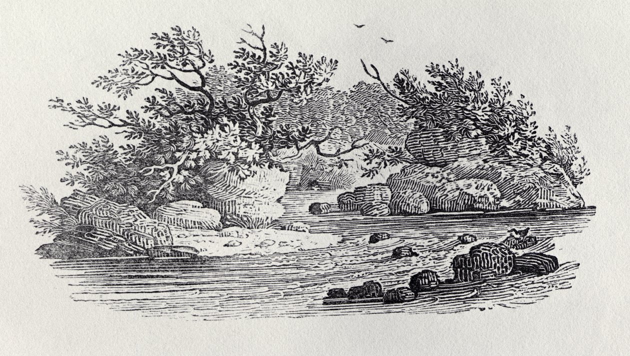 Egy kanyar a folyóban a "History of British Birds, 2. kötet: Water Birds" című könyvből, 1804 alkotó: Thomas Bewick