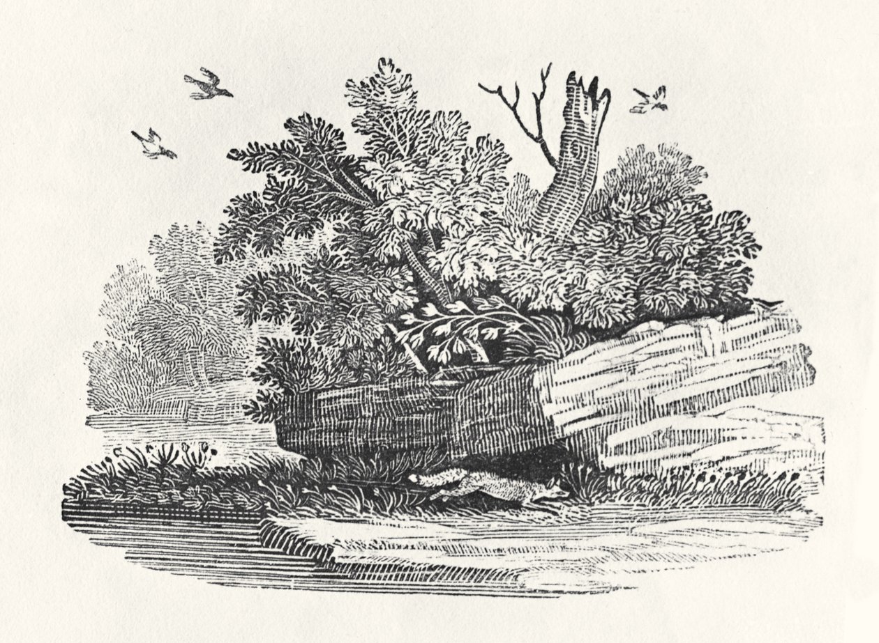A róka menekülése a „Négylábúak általános történetéből”, 1790-ben (fametszet) alkotó: Thomas Bewick